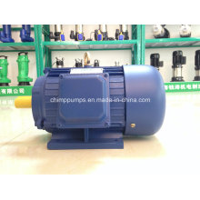 High Performance Y2 Series 3 Phase AC Induction Motor for Fan